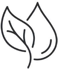 Two leaves outline icon.